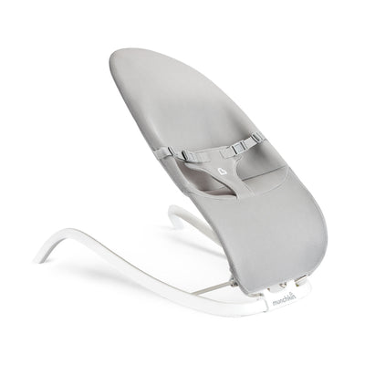 Spring 2-in-1 Bouncer & Rocker