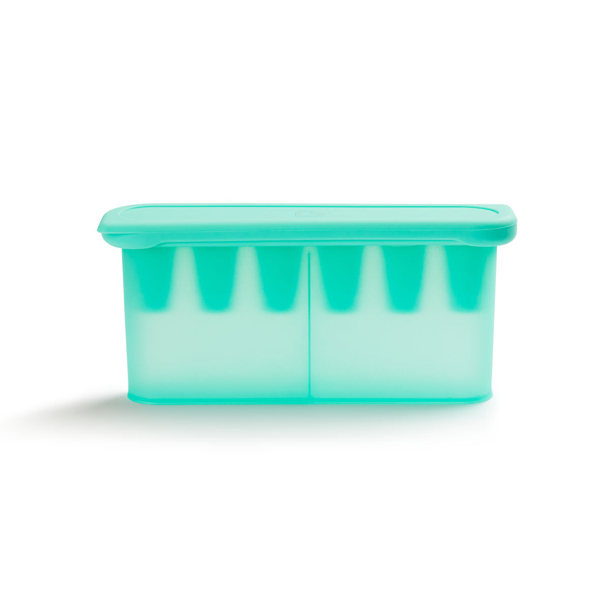 Silicone Baby Food Feeders & Freezer Tray Bundle