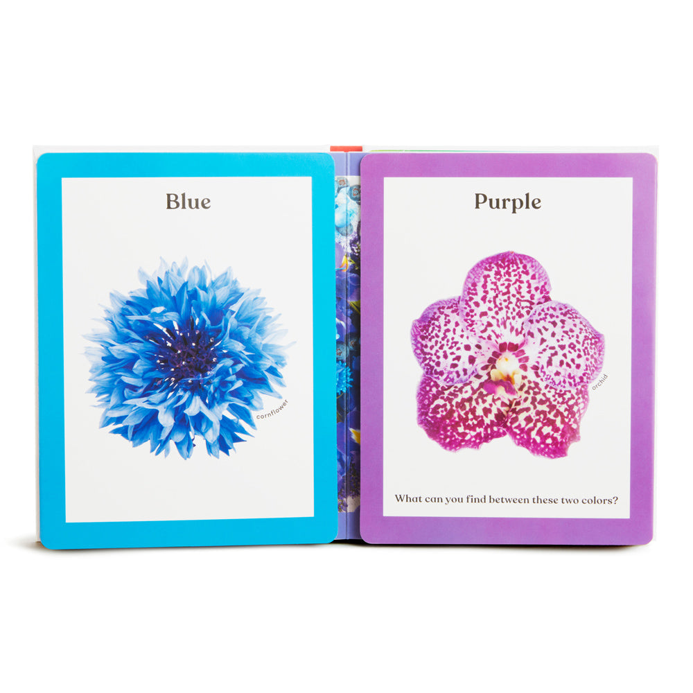 Rainbows in Bloom: Dining Set & Color Discovery Book
