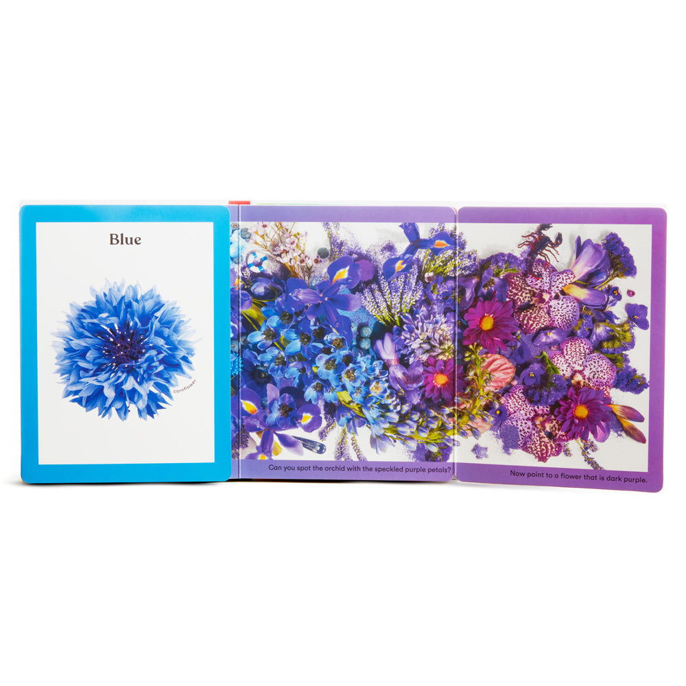 Rainbows in Bloom: Dining Set & Color Discovery Book