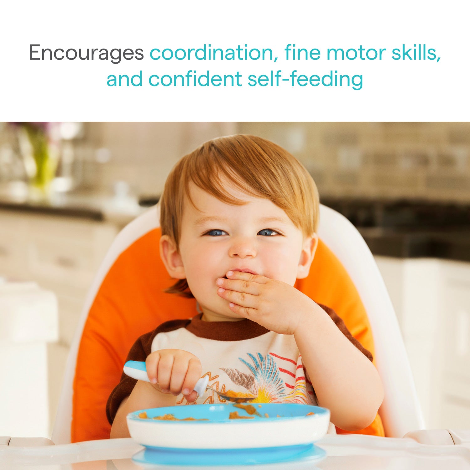 Big Kid Meals Bundle - 12mo+