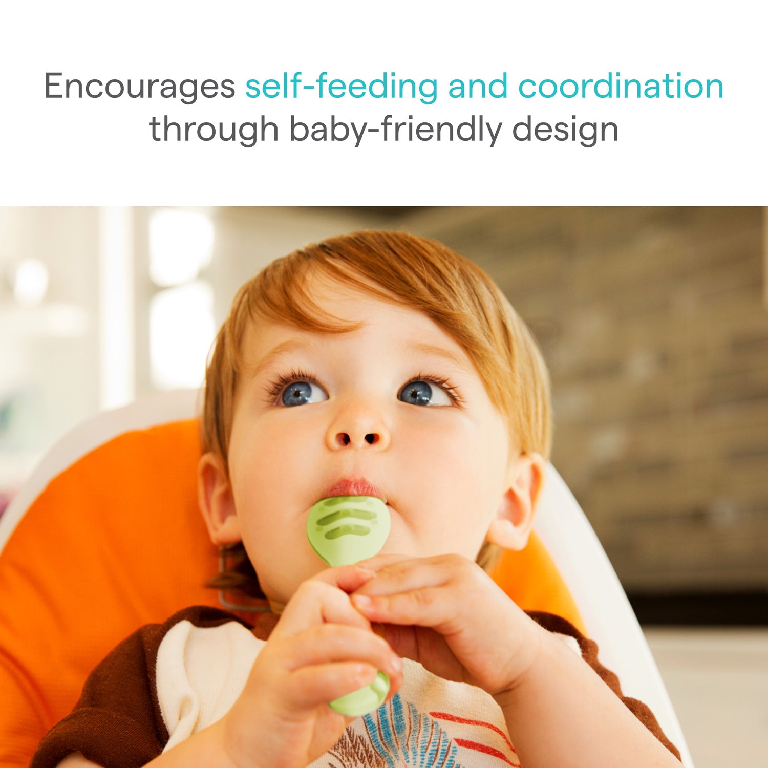 First Tastes Bundle - 4mo+