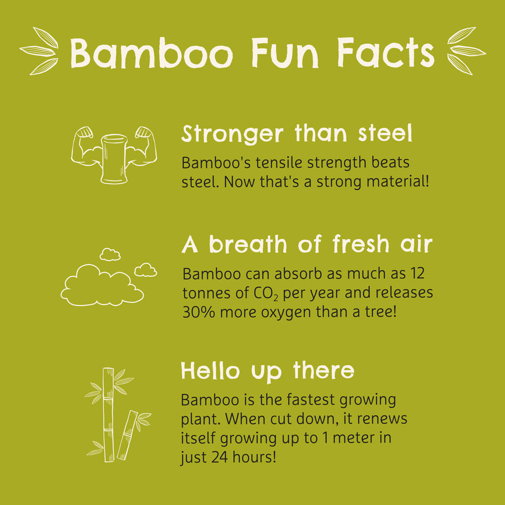 Bambou™ Divided Plate