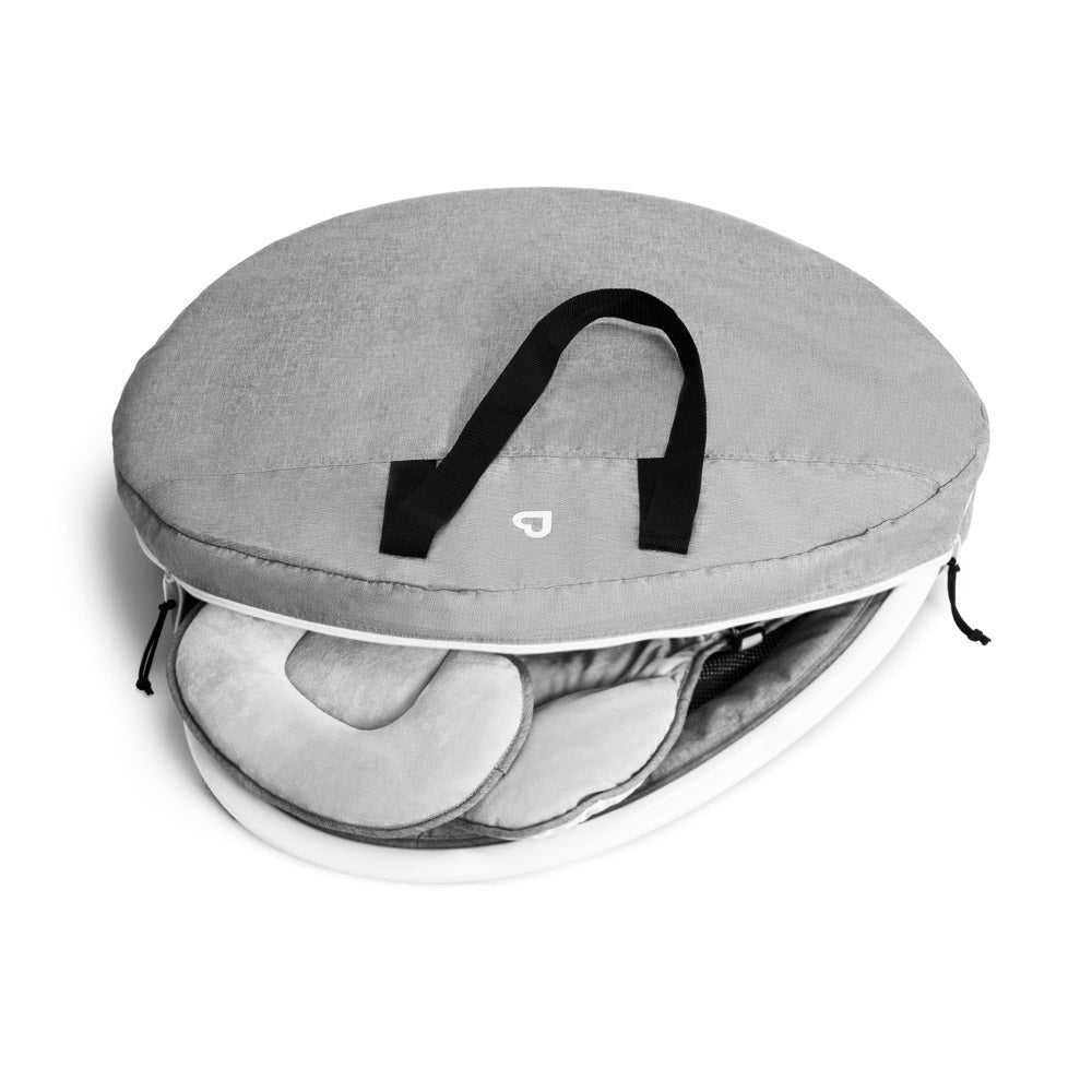 Travel Case for Swing